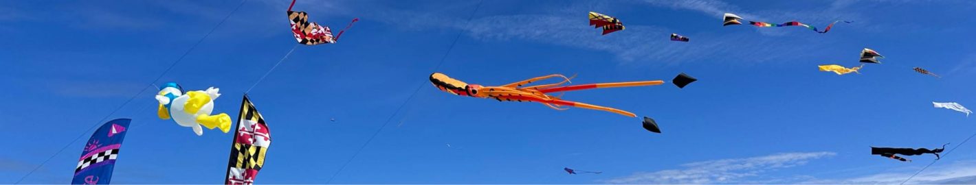 Kites flying on the beach.