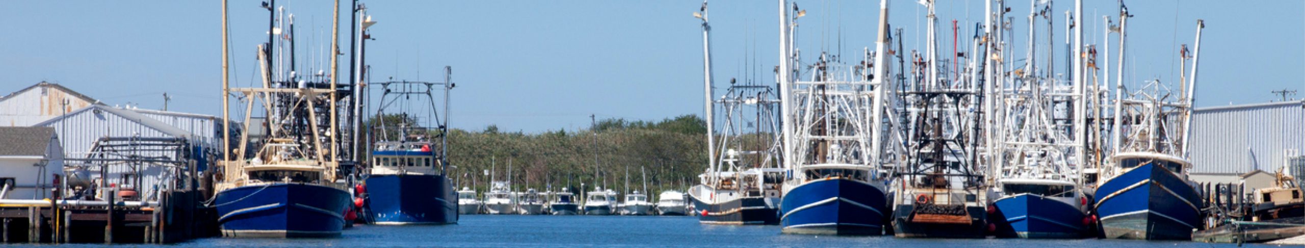 Cape May Fishing Fleet